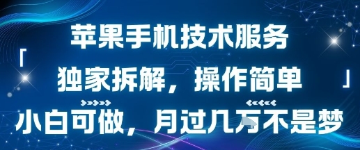 苹果手机技术服务，独家拆解，操作简单，小白可做，月过1W不是梦-沐风资源库