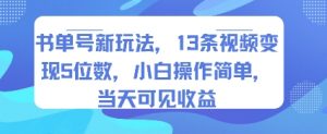 书单号新玩法，13条视频变现5位数，小白操作简单，当天可见收益-沐风资源库