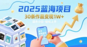 2025蓝海项目30条作品 变现1w+ 有手就能操作适合小白做-沐风资源库