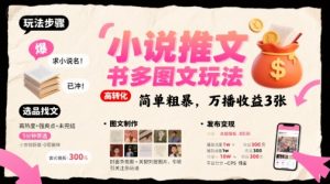 小说推文小红书多图文玩法，简单粗暴，万播收益3张-沐风资源库