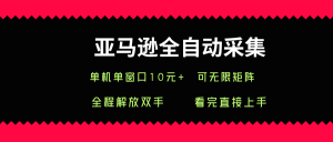 亚马逊全自动采集，单机单窗口一天10+，可无限矩阵去做【揭秘】-沐风资源库