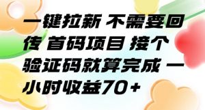 一键拉新 不需要回传 首码项目 接个验证码就算完成 一小时收益70+【揭秘】-沐风资源库