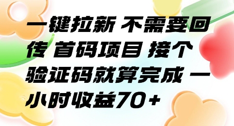 一键拉新 不需要回传 首码项目 接个验证码就算完成 一小时收益70+【揭秘】-沐风资源库