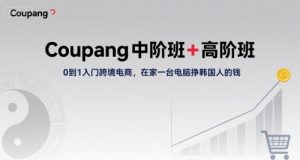 Coupang中阶班+高阶班，0到1入门跨境电商，在家一台电脑挣韩国人的钱-沐风资源库