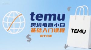 temu跨境电商小白基础入门课程，新手必看-沐风资源库