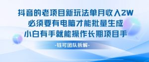 老项目新玩法单月收入2W小白有手就能操作长期项目-沐风资源库