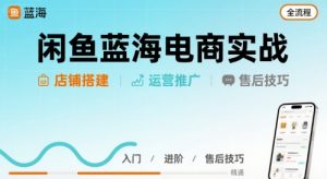 闲鱼蓝海电商实战，店铺搭建运营售后全流程-沐风资源库