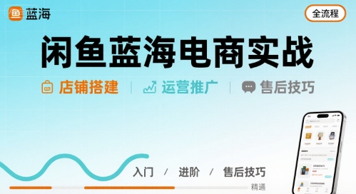 闲鱼蓝海电商实战，店铺搭建运营售后全流程-沐风资源库