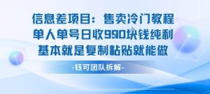 信息差项目：售卖冷门教程单人单号日收9张纯利基本就是复制粘贴就能做-沐风资源库