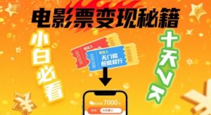 小白必看！卖电影票项目，零投入无门槛谁都能做，十天到手 7k，照做就行【揭秘】-沐风资源库