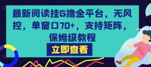 最新阅读挂G撸金平台，无风控，单窗口70+，支持矩阵，保姆级教程【揭秘】-沐风资源库