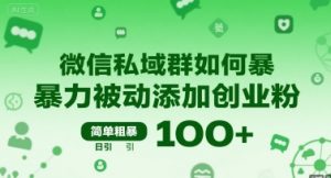 微信私域群如何暴力被动添加创业粉，简单粗暴，日引100+-沐风资源库