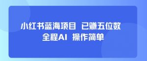 小红书蓝海项目，全程AI，操作简单，已挣五位数-沐风资源库