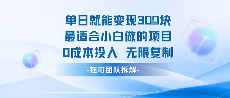 单日就能变现3张最适合小白做的项目0成本投入 无限复制-沐风资源库