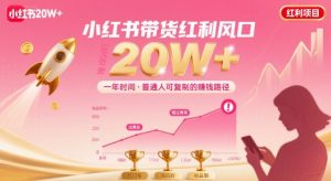 一年时间靠小红书带货项目年入20w+，最不能错的大红利项目-沐风资源库