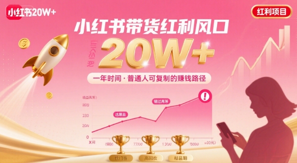 一年时间靠小红书带货项目年入20w+，最不能错的大红利项目-沐风资源库