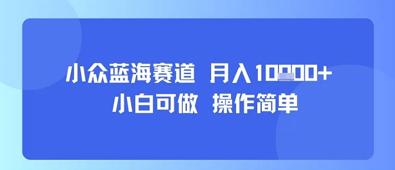 小众蓝海赛道，小白可做，操作简单，每天30分钟，月入1W+-沐风资源库