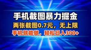 手机截图暴力掘金，两张截图0.7米，一部手机就能做，轻松日入3张+【揭秘】-沐风资源库
