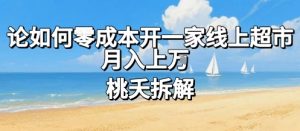 论如何零成本开一家线上超市，月入上W-沐风资源库