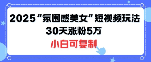 不露脸也能火！2025“氛围感美女”短视频玩法，30天涨粉5W小白可复制-沐风资源库