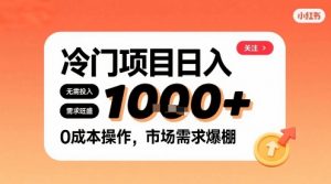 在小红书上发现个冷门路子，需求不小，零成本操作，每天能有1k进账-沐风资源库