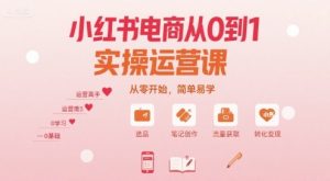 小红书电商从0到1实操运营课，从零开始，简单易学-沐风资源库