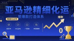 亚马逊精细化运营爆款打造体系，视频课+全套资料文档-沐风资源库