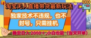 淘宝无人直播带货最新玩法，独家技术不违规，也不封号，全自动运行，只需挂着，  稳定日入2k【揭秘】-沐风资源库