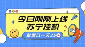 苏宁全自动采集挂G项目 稳定可批量 单窗口收益30+ 附教程【揭秘】-沐风资源库