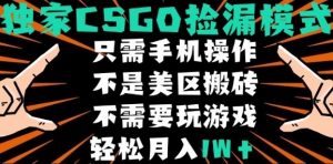 CSGO自动捡漏项目，最新独家玩法，不是美区搬砖，不需要了解和玩游戏，新手小白轻松月入1W+【揭秘】-沐风资源库