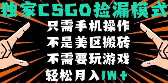CSGO自动捡漏项目，最新独家玩法，不是美区搬砖，不需要了解和玩游戏，新手小白轻松月入1W+【揭秘】-沐风资源库