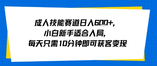 成人技能赛道日入多张，小白新手适合入局，每天只需10分钟即可获客变现-沐风资源库