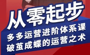 拼多多运营进阶系统课，从零起步，多多运营进阶体系课，破茧成蝶的运营之术-沐风资源库
