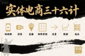实体电商三十六计，短视频-获客-直播-矩阵营销-流量-数据-选品-沐风资源库