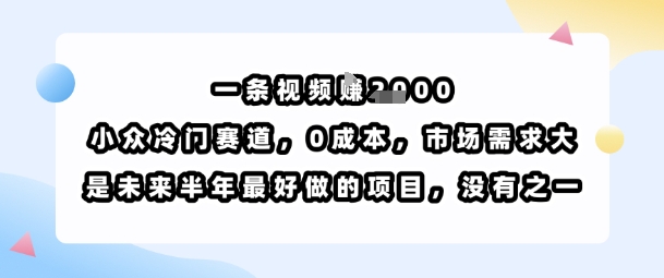 一条视频挣1k，小众冷门赛道，0成本，市场需求大，是未来半年最好做的项目，没有之一-沐风资源库