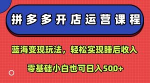 拼多多开店运营课程：蓝海变现玩法，轻松实现睡后收入，零基础小白也可日入5张-沐风资源库