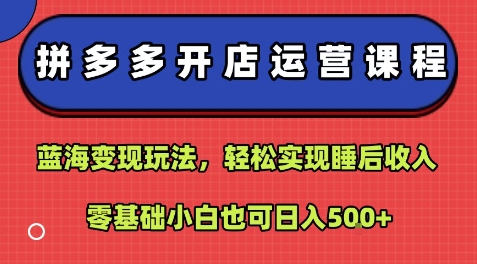 拼多多开店运营课程：蓝海变现玩法，轻松实现睡后收入，零基础小白也可日入5张-沐风资源库