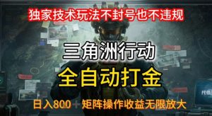三角洲最新全自动G机，独家技术玩法，不封号也不违规， 日入8张+可矩阵操作，收益无限放大【揭秘】-沐风资源库