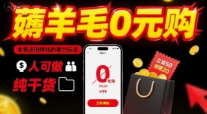 薅羊毛0元购，免单还倒挣钱的暴力玩法，人人可做，纯干货-沐风资源库