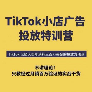 TikTok小店广告投放特训营,6天破局计划专治各种“投不动”,教你经过月销百万验证的实战干货-沐风资源库
