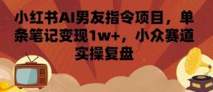 小红书AI男友指令项目,单条笔记变现1w+,小众赛道实操复盘-沐风资源库