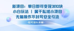 新项目单日即可变现3张的小白玩法无脑操作不封号安全引流-沐风资源库