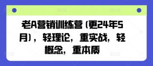 老A营销训练营(更25年8月)，轻理论，重实战，轻概念，重本质-沐风资源库