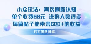 小众玩法再次刷新认知单个收费68米进群人数很多每篇帖子能带来6张的收益-沐风资源库