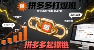 拼多多打爆班原创高阶技术第47期，拼多多起爆链-沐风资源库