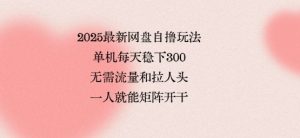 2025最新网盘自撸玩法,单机每天稳下3张,无需流量和拉人头,一个人就可轻松矩阵,全网独一份【揭秘】-沐风资源库