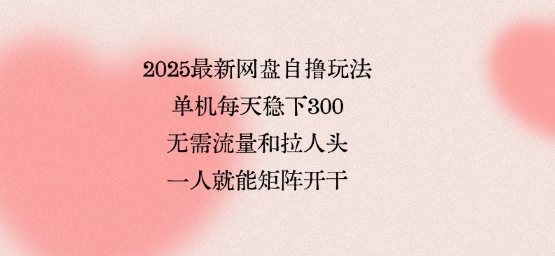 2025最新网盘自撸玩法，单机每天稳下3张，无需流量和拉人头，一个人就可轻松矩阵，全网独一份【揭秘】-沐风资源库