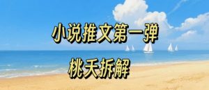 小说推文项目操作全流程第一弹，0粉就能做，门槛低非常适合新手-沐风资源库