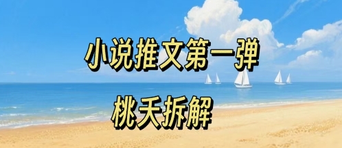 小说推文项目操作全流程第一弹，0粉就能做，门槛低非常适合新手-沐风资源库