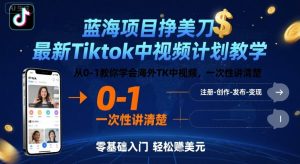 蓝海项目挣美刀，最新Tiktok中视频计划教学，从0-1教你学会海外TK中视频，一次性讲清楚-沐风资源库